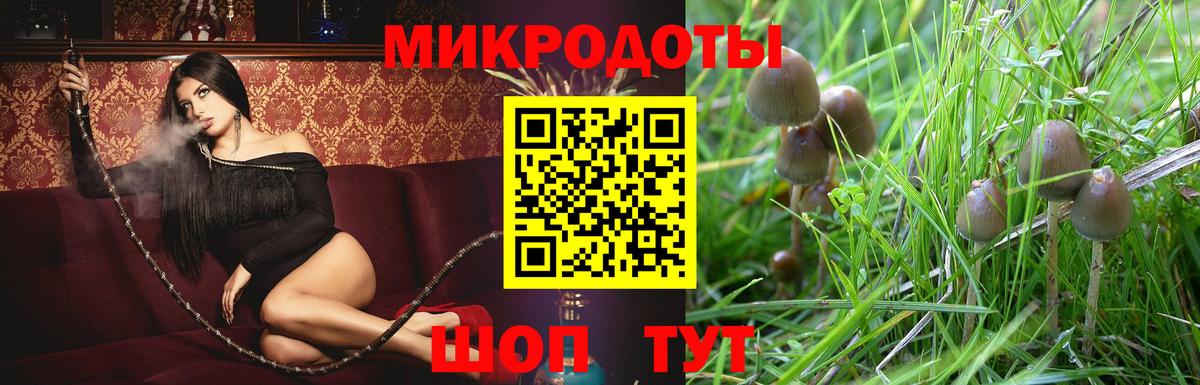 Галлюциногенные грибы Psilocybine cubensis Улан-Удэ