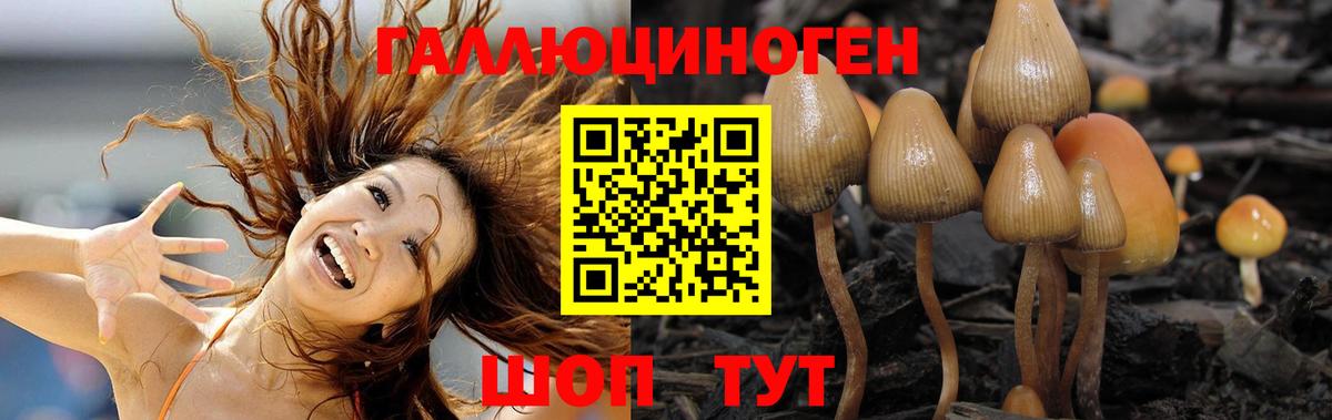 Псилоцибиновые грибы ЛСД  Галлюциногенные грибы мицелий  Вход с VPN  Улан-Удэ 